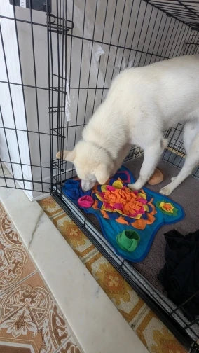 Husky puppy with the snuffle mat